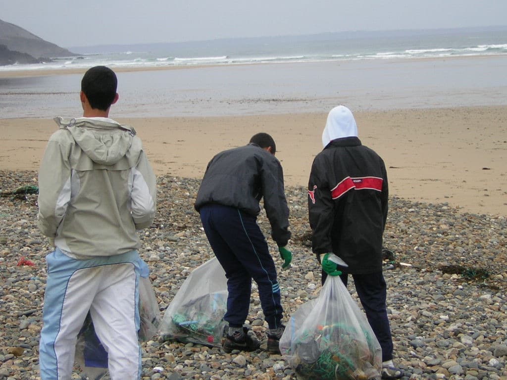 Trois jeunes de dos, sacs de ramassage à la main, sur une plage de galets