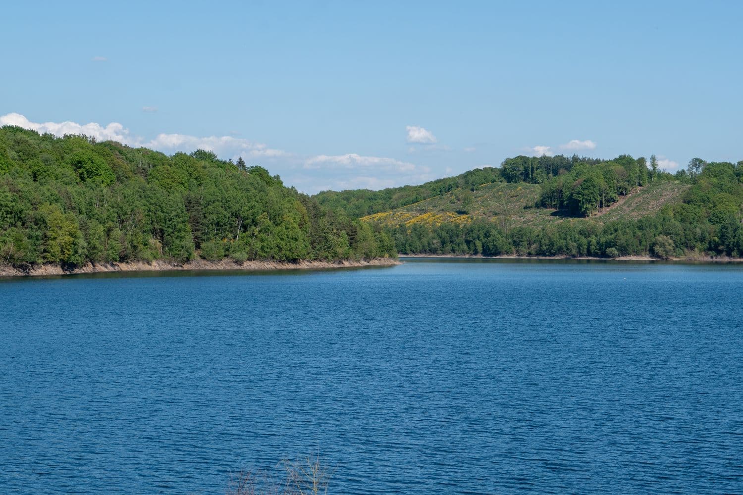 Lac calme bordé de collines boisées