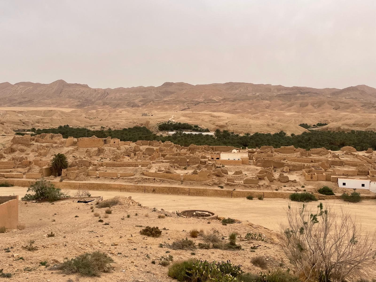 Ksar en pisé au bord d'une palmeraie, montagnes désertiques à l'horizon